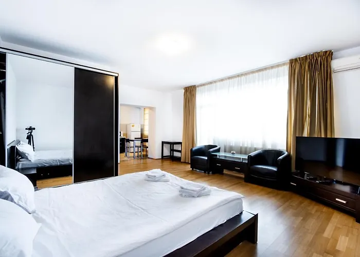 Luxury Studio Aviatiei